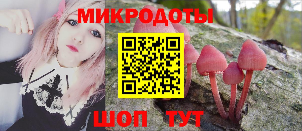Псилоцибиновые грибы мицелий Медногорск